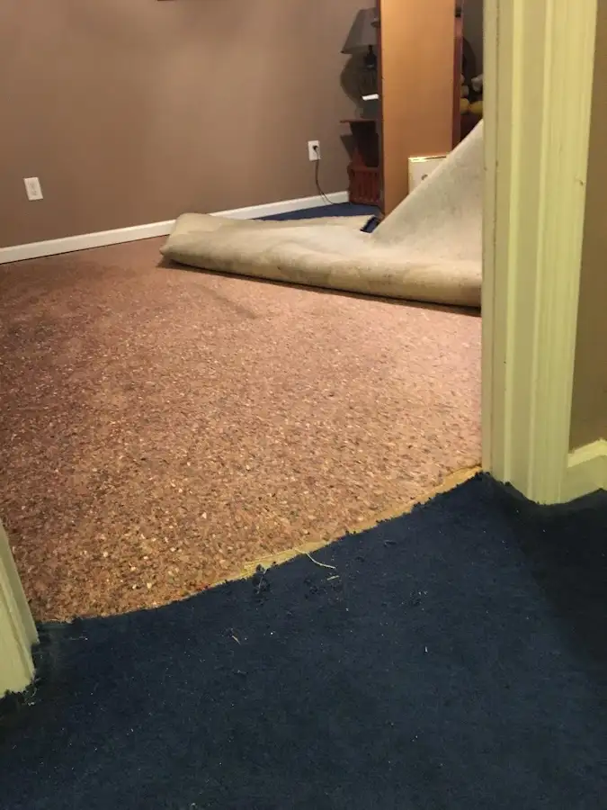 Carpet pad removal revealing water damage during Water Mitigation Services in Plymouth